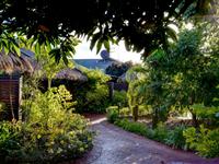 Garden Paths – Mantra Frangipani
