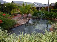 Pond – Mantra Frangipani